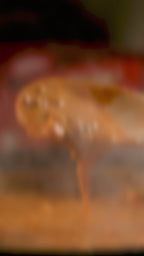 Dal–Rice+ Biryani Family Combo (6–8 Servings | Ready in 2 Minutes)